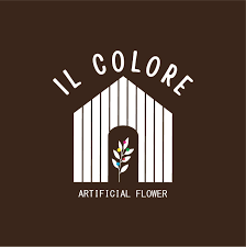 IL COLORE