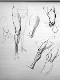 Anatomy Studies Demo Figure Studies Page 2 Human Anatomy Drawing Anatomy Sketches Figure Drawing