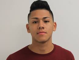 Holland Sentinel All-Area Boys Soccer First Team