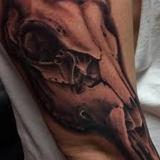 Find reviews, ratings, directions, business hours, contact information and book online appointment. Hard Knox Tattoo Health Beauty Knoxville Knoxville