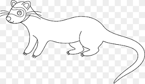 Gambar kartun hitam putih untuk diwarnai www tollebild com. Musang Hitam Png Pngwing