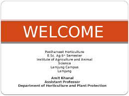 Ppt Types Of Postharvest Deterioration And Factors Affecting Postharvest Deterioration Amit Khanal Academia Edu