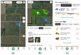 Some proponents of industrial agriculture claim that its impacts are the price we must pay to feed the world. in fact, a growing body of scientific evidence has debunked this claim, showing that a more sustainable model can be just as profitable—and can meet our needs for the long haul. Agronomy Free Full Text Smartphone Applications Targeting Precision Agriculture Practices A Systematic Review Html