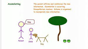 Illustration Of Schema Assimilation Accommodation Educational Psychology Learning Time Cognitive Development