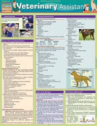 Looking To Begin A Career In Veterinary Medicine As An Assistant We Re Here To Help You In Achieving This G Veterinary Assistant Vet Medicine Vet Tech Student