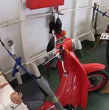 リトルカブで行く 千葉県房総キャンプ ツーリング Cubれてます