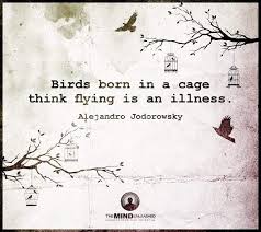 Birds Born In A Cage Think Flying Is An Illness Alejandro Jodorowsky Sum Thots Pinterest Alejandro Jodorowsky Wisdom Quotes And Wisdom