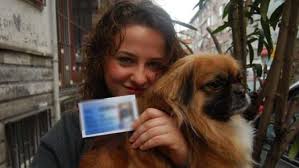Kedi Ve Kopeklere Mikrocipli Kimlik Zorunlulugu Haberturk Tv