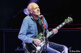 Image result for April Green 1977 Colt