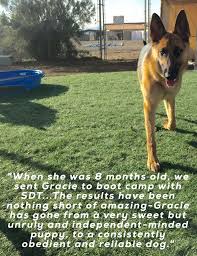 Maybe you would like to learn more about one of these? Questions About Dog Boot Camp We Have Answers Specialty Dog Training