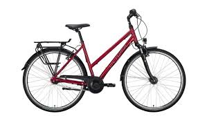 Profile Hesseling Kluitmann 46446 Emmerich Am Rhein Fahrrad Fahrrader Bikes Fahrradangebote Cycle Fahrradhandler Fahrradkauf Angebote Mtb Rennrad E Bike