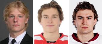 USCHO.com: North Dakota's Blake, Boston University's Celebrini, Boston  College's Gauthier named Hobey Hat Trick