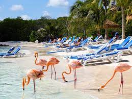 Renaissance Private Island E A Praia Dos Flamingos Em Aruba Viagens Possiveis