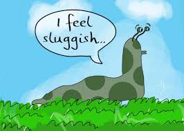 Check spelling or type a new query. 20 Ways To Control Slugs In The Permaculture Garden Or On The Allotment Permaculture Magazine
