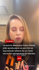 🎥 Alan Padrón Albornoz, quien será Secretario de la Juventud de Yucatán,  comentó que trabajará en pro del bienestar de las juventudes convirtiendo  en políticas públicas todas las propuestas de campaña que