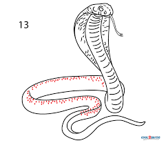 Check spelling or type a new query. How To Draw A Snake Step By Step Pictures