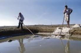 Toda una vida en las salinas