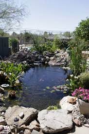 This lets air in, but primarily it's to let hydrogen sulfide gas out. Koi Ponds Combine Beauty Calm Tucson Gardens Tucson Com