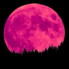 Palette Australian Genus Colourlovers Pink Moon Beautiful Moon Strawberry Moons