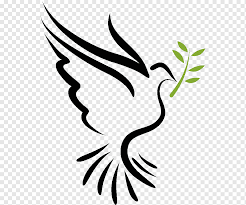 Check spelling or type a new query. Las Palomas De La Biblia Como Simbolos Del Espiritu Santo Columbidae Espiritu Santo Cristianismo Hoja Rama Png Pngwing