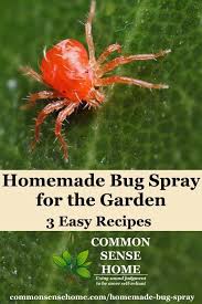 Homemade Bug Spray For The Garden 3 Easy Recipes