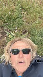 Steve anybody, we have had a major setback in trailer loading