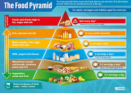 food pyramid science posters gloss paper measuring 850mm x 594mm a1 science charts for the classroom education charts by daydream education