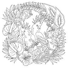 We have 20 images about malvorlage obst including images, pictures, photos, wallpapers, and more. New 30 Mandala Coloring Pages For Adults Kids School And Kids