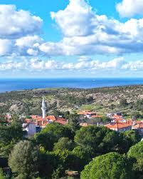 Ercument Aksoy (@ercumenthol) • Instagram photos and videos