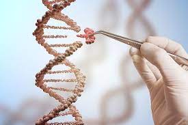 These changes can include turning off, or. What Is Genetic Modification Worldatlas
