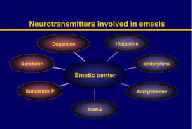 Image result for Nausea Causes