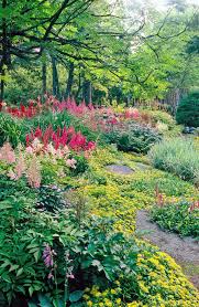 20 Shade Garden Design Ideas That Prove You Can Grow Colorful Plants Anywhere In 2020 Shade Garden Design Shade Plants Shade Garden