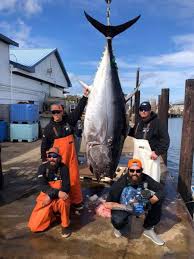 Capt Nick Gowitzka Of Little Shell Obx Bait And Tackle Corolla Outer Banks Outer Banks Nc