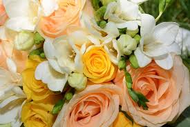 Florist in greensboro, north carolina. About Us Designed By Farrington