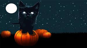 Enjoy and share your favorite the android wallpaper hd cute. Halloween Cat Pics Free Download Hd Halloween Black Cat Wallpaper 1680x1050 Black Cat Painting Halloween Wallpaper Backgrounds Halloween Desktop Wallpaper