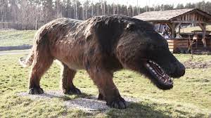 Top 10 Recently Extinct Animals 10 Animals Extinct Top Scary Animals Extinct Animals Extinction