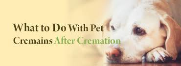 If you plan to bury your pet yourself but cannot do it right away, then the body must be stored properly. What To Do With Pet Ashes After Cremation Agape Pet Services