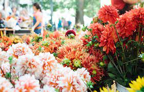 Which flowers are in season now. What Flowers Are In Season Ftd Com