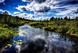 No one can rallies deny bangladesh is a matchless beauty spot on the earth. Sundarban Forest Bangladesh Nature Background 1440x900 Top Free Download Pictures