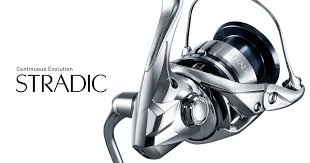 We did not find results for: New Shimano Stradic Fl 2019