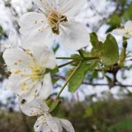 How to use the fortnite ping system. Download Baraj Doga Wallpaper Hd By Gorkemmbos Wallpaper Hd Com