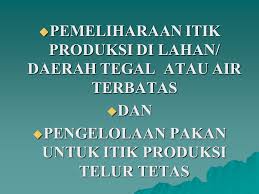Download soal tes stpn tpa kumplit gratis.serta tips dan trik untuk menaklukkan tes tpa. Nur Prabewi Spt Mp Jabatan Staf Pengajar Stpp Ppt Download