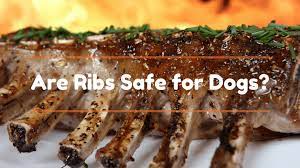 Can Dogs Have Pork Bones And Rib Bones Smart Dog Owners