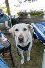 Eric Heine (@mabaseballdad33040)