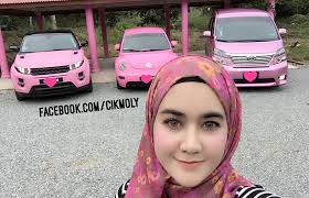 Melihat istri tercintanya menghianatinya dan beselingkuh dengan. Kerana Minat Sanggup Cat Semua Kereta Warna Pink Mynewshub