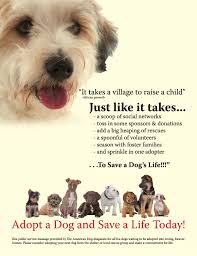 Search and rescue dog (tv episode 2001) quotes on imdb: It Takes A Village To Save A Dog S Life Save A Dog Dog Adoption Animal Advocacy