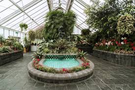 Reserve a table at the wellington, london on tripadvisor: Rare Tropical Plants Taken In Raid From Wellington Botanic Garden Stuff Co Nz