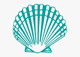 Watercolor pearl clam shell design elements clip art. Scallop Shell Clip Art Clam Shell Clipart Png Transparent Png Transparent Png Image Pngitem