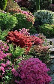 Leonardslee Landscape Gardens West Sussex Uk Leonardslee Rock Garden With Pink And Red Flowering Kurume Azaleas And Rhododendrons In May 4 Of 14 Beautiful Gardens Garden Landscaping Colorful Garden