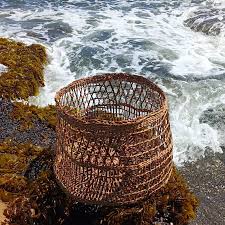 👁️ NOVEDADES: En el trabajo realizado en 2022 pudimos ver que es posible  obtener fibra natural desde la hoja de pita, la que puede resistir el  hilado, de acuerdo a la evaluación